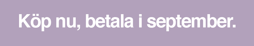 Svea Ekonomi