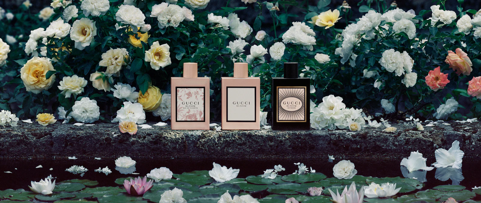Allt Om Doftkollektionen Gucci Bloom Fr n Gucci allt-om-doftkollektionen-gucci-bloom-fr-n-gucci