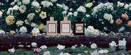 Allt Om Doftkollektionen Gucci Bloom Fr n Gucci