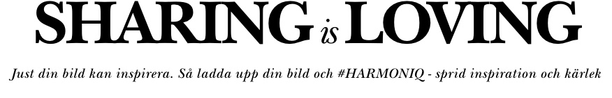 Instagram HARMONIQ.SE