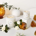 Voluspa Maison Blanc Luxe Jar Candle Gardenia Colonia 850g