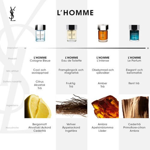 Yves Saint Laurent L Homme EdT 40 ml