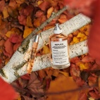 Maison Margiela Replica Autumn Vibes EdT 100 ml