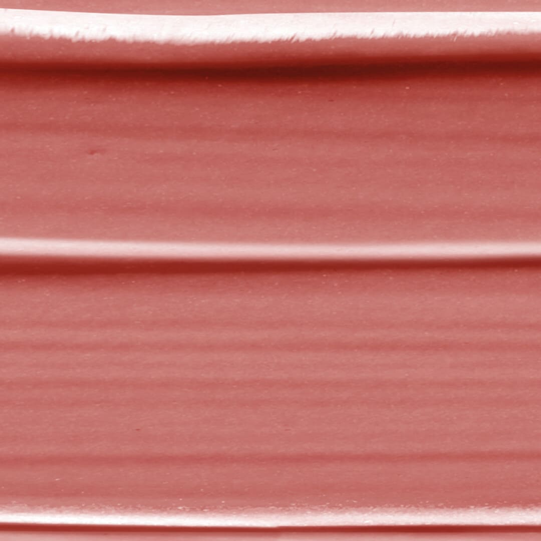 Loreal Paris Color Riche Satin Nudes Lipstick 173 Nu Impertinent 4.5g