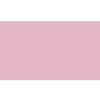 Shiseido Luminizing Satin Eye Color Pk305 Peony 2g
