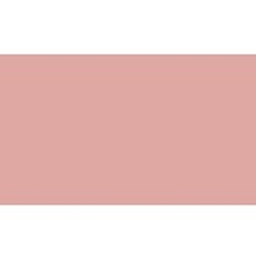 Shiseido Luminizing Satin Eye Color Pk319 Peach 2g