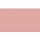 Shiseido Luminizing Satin Eye Color 2G Pk319 Peach