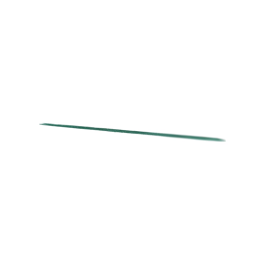 Loreal Paris Infaillible Grip 36H Gel Automatic Eyeliner 8 Emerald Green 0.32g