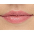 IsaDora Perfect Moisture Lipstick Bare Pink 10