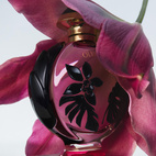 Rabanne Olympea Flora EdP 50 ml