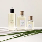 Ralph Lauren Polo Earth Antilles Vetiver EdT 100 ml