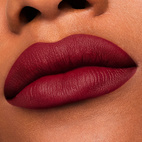 Estee Lauder Pure Color Lipstick Matte Power Kiss 888 3.5g
