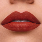 Estee Lauder Pure Color Lipstick Matte Persuasive 333 3.5g