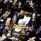 Yves Saint Laurent Libre L Absolu Platine 50 ml