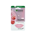 Garnier Skin Active Lips Replumping 15 Min Sheet Mask 5g