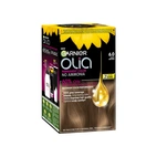 Garnier Olia Permanent Color 6.0 Light Brown