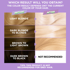Garnier Nutrisse Ultra Bleach L4+ Ultra Maximum Lightener