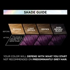 Loreal Paris Preference Vivids 3.161 Magn Plum