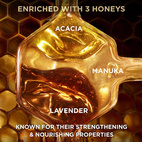 Garnier Respons Honey Treasures Shampoo Skört Och Slitet Hår 250 ml