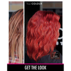 October Stockholm True Colour 6.666 Extra Intense Dark Red Blond 100 ml