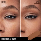 bareMinerals Barepro All Over Skin Perfecting Concealer Medium Deep 455 Neutral