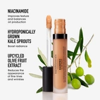 bareMinerals Barepro All Over Skin Perfecting Concealer Light 250 Neutral 7.5 ml