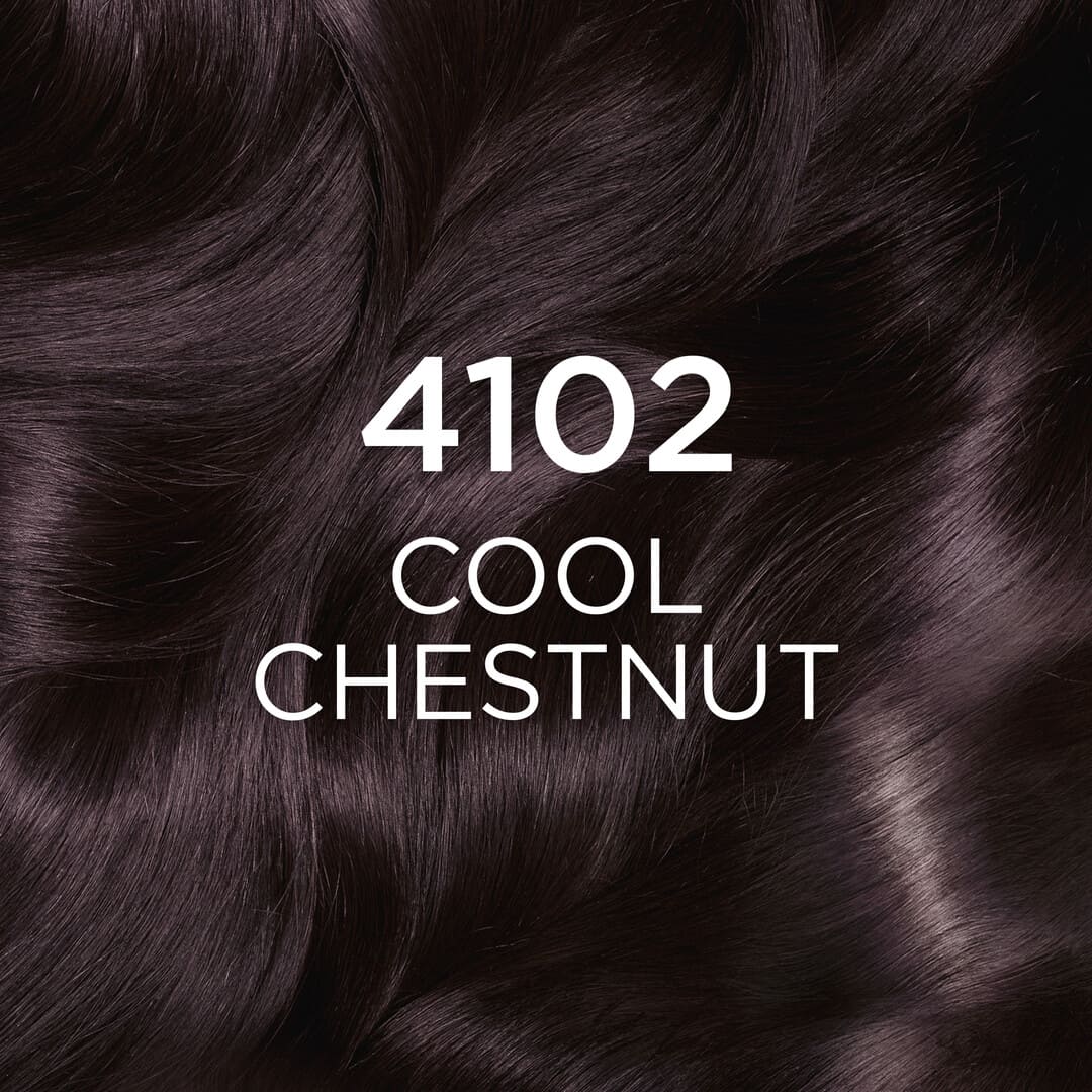 Loreal Paris Casting Creme Gloss 4102 Cool Chestnut