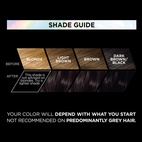Loreal Paris Preference Vivids 2.013 Deep Black