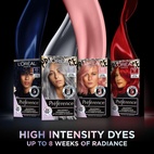 Loreal Paris Preference Vivids 9.112 Smokey Grey