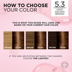 Loreal Paris Excellence Creme Permanent Hair Color 5.3 Ljus Guldbrun