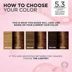 Loreal Paris Excellence Creme Permanent Hair Color 5.3 Ljus Guldbrun