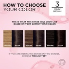 Loreal Paris Excellence Creme Permanent Hair Color 3 Mörkbrun