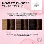 Loreal Paris Excellence Creme Permanent Hair Color 4 Brun