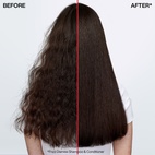 Redken Frizz Dismiss Conditioner 300 ml