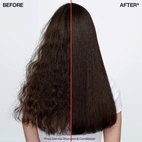 Redken Frizz Dismiss Shampoo 300 ml