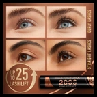 Max Factor 2000 Calorie Pro Stylist Mascara 2 Black Brown 9 ml