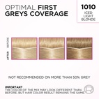 Loreal Paris Casting Creme Gloss 1010 Light Iced Blonde