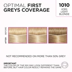 Loreal Paris Casting Creme Gloss 1010 Light Iced Blonde