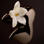 Hugo Boss The Scent For Her Magnetic EdP 30 ml