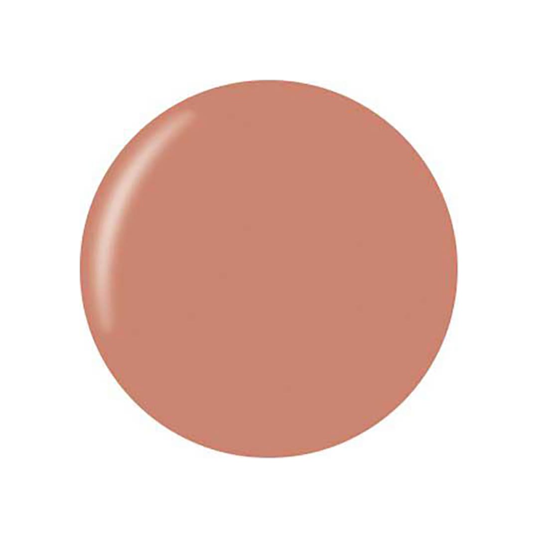 Technic Matte Nail Varnish Sphinx 12 ml