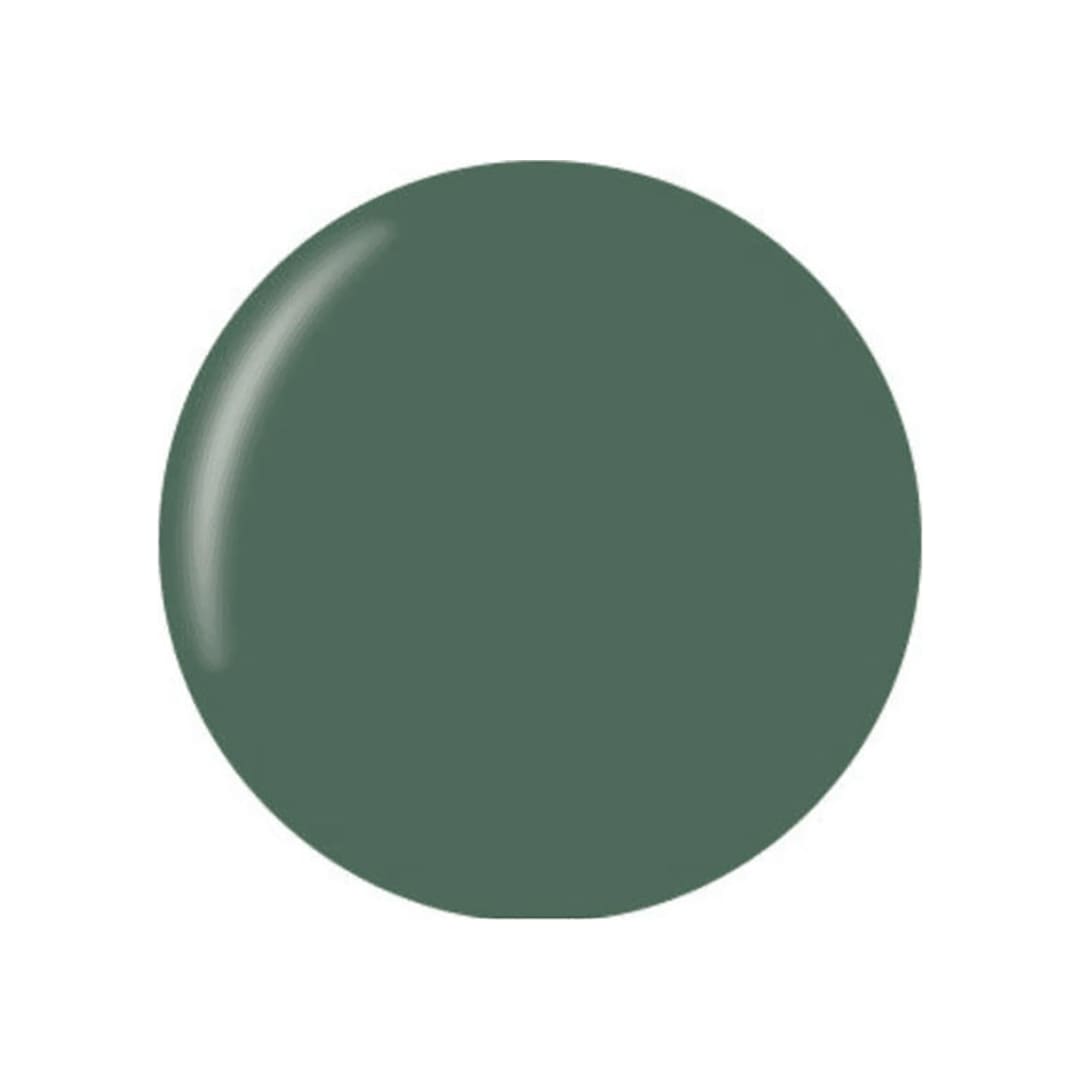 Technic Matte Nail Varnish Green With Envy 12 ml