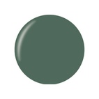 Technic Matte Nail Varnish Green With Envy 12 ml