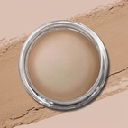 Technic Stretch Concealer Buff 6g