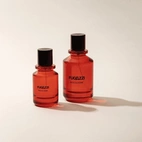 Fugazzi Nocologne EdP 50 ml