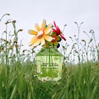 Marc Jacobs Daisy Wild Intense EdP 50 ml