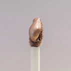 Catrice Desert Dune Shimmer Eye Tint C02 Endless Sands 4 ml