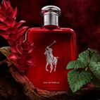 Ralph Lauren Polo Red EdP 125 ml