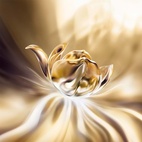 Lancome Absolue Longevity The Soft Cream 60 ml