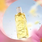 Lancome Les Ô Ô Zenith Edt 100 ml