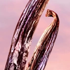 Lancome La Vie Est Belle Vanille Nude Edp 30 ml